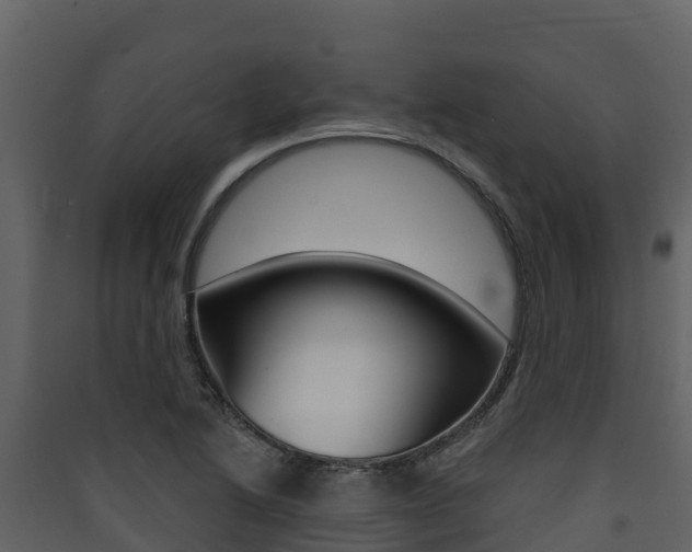 X0000090421222200707130939