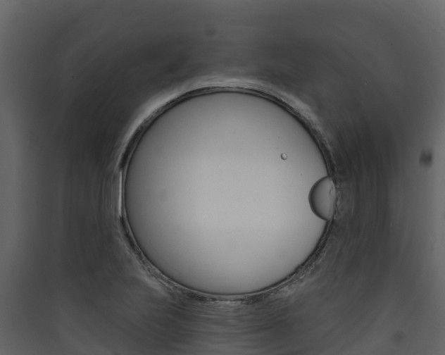 X0000090421223200707130939