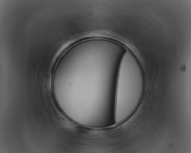 X0000090421224200707130939