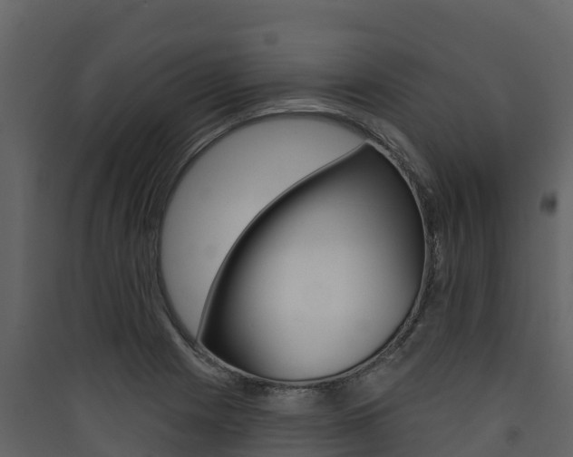 X0000090421225200707130939