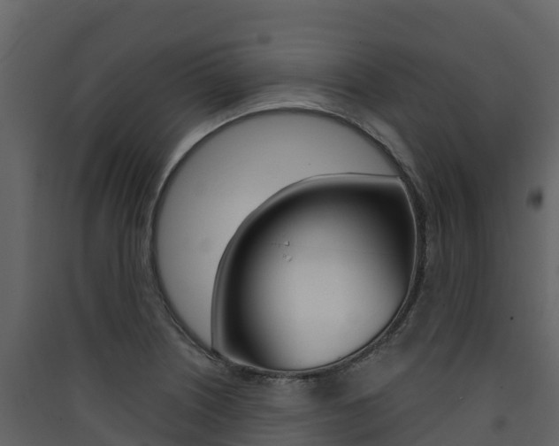 X0000090421226200707130939