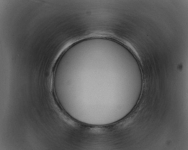 X0000090421227200707130939