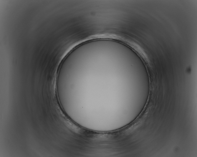 X0000090421228200707130939