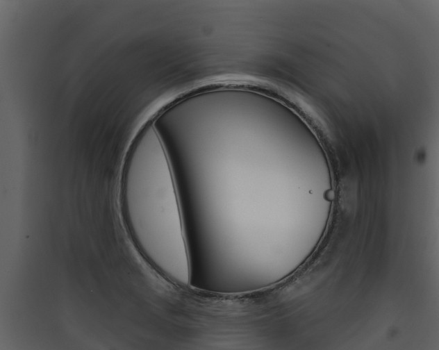 X0000090421229200707130940