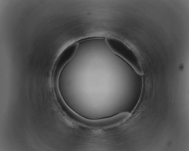 X0000090421230200707130940