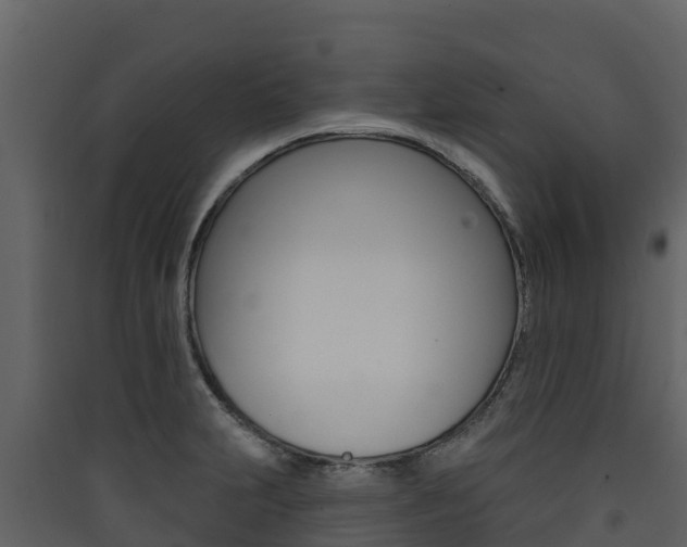 X0000090421231200707130940