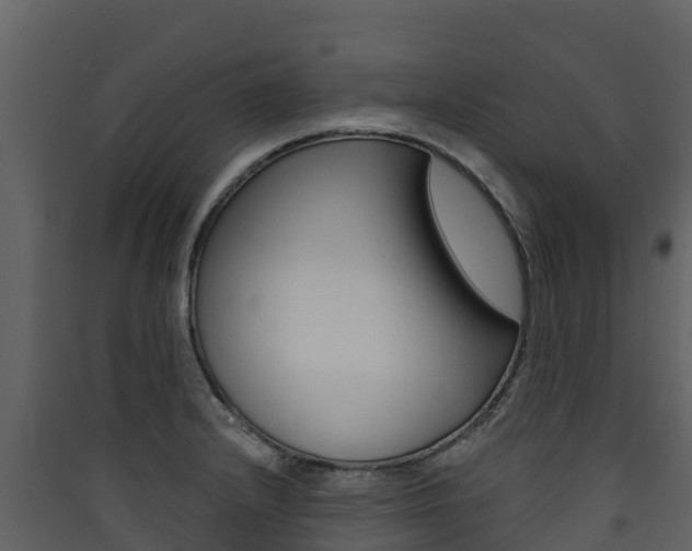 X0000090421232200707130940