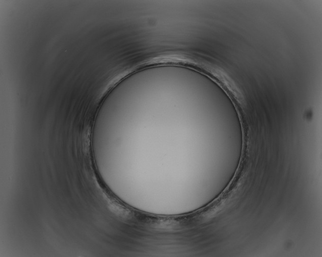 X0000090421233200707130940