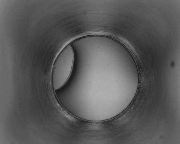 X0000090421236200707130940