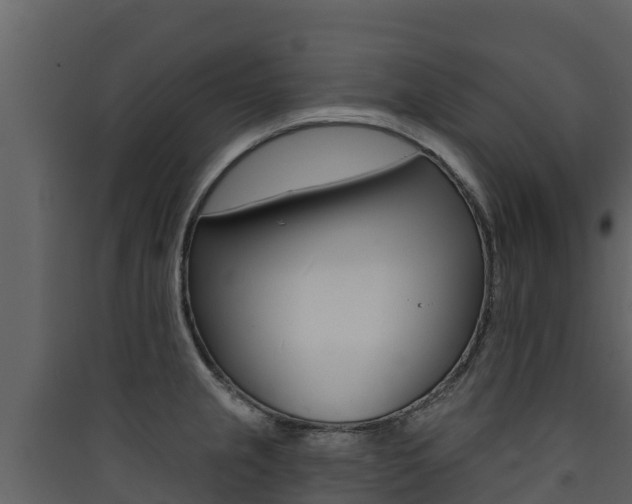 X0000090421237200707130940