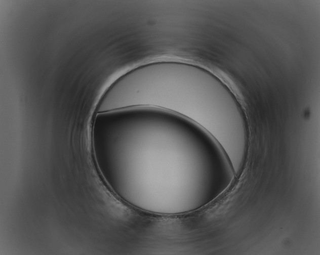X0000090421238200707130940