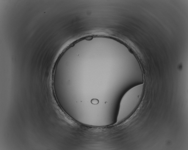 X0000090421240200707130940