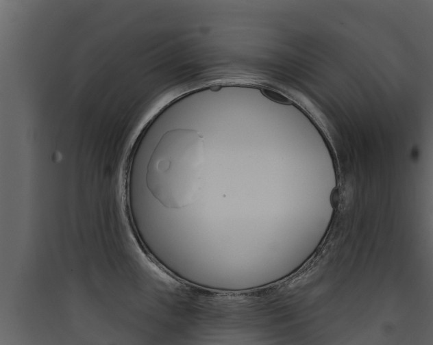 X0000090421243200707130940