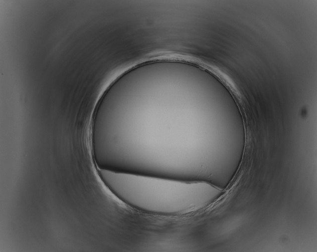X0000090421247200707130940