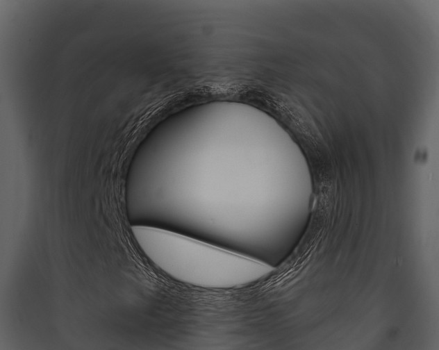 X0000090421249200707130939