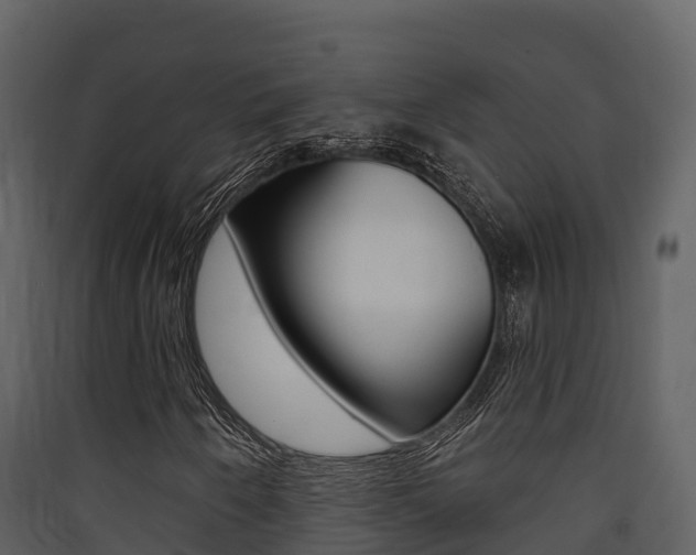 X0000090421250200707130939
