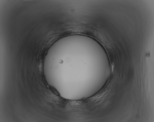 X0000090421251200707130939