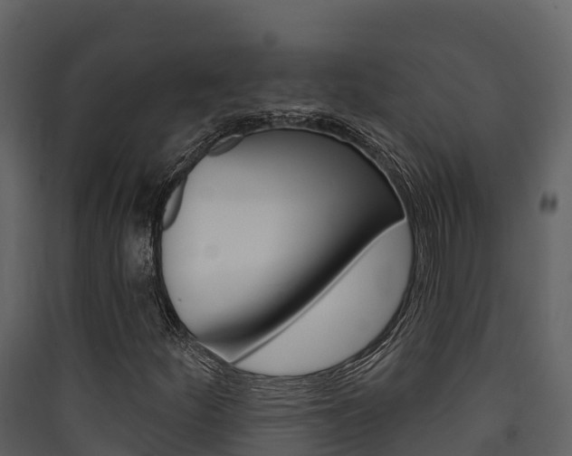 X0000090421252200707130939