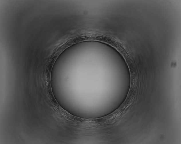 X0000090421253200707130939
