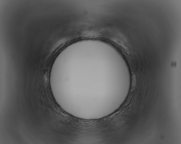 X0000090421254200707130939