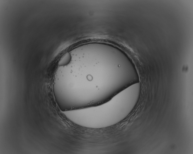 X0000090421255200707130939