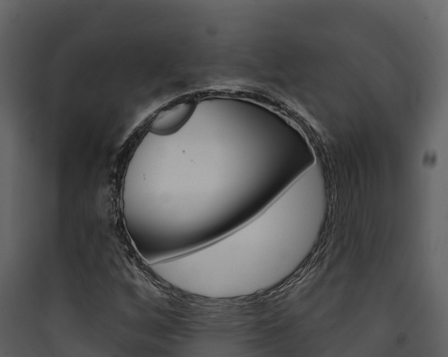 X0000090421256200707130939