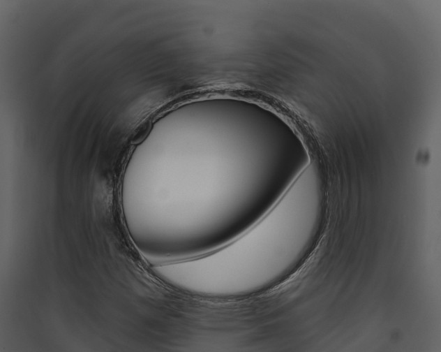X0000090421257200707130939