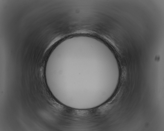 X0000090421258200707130939
