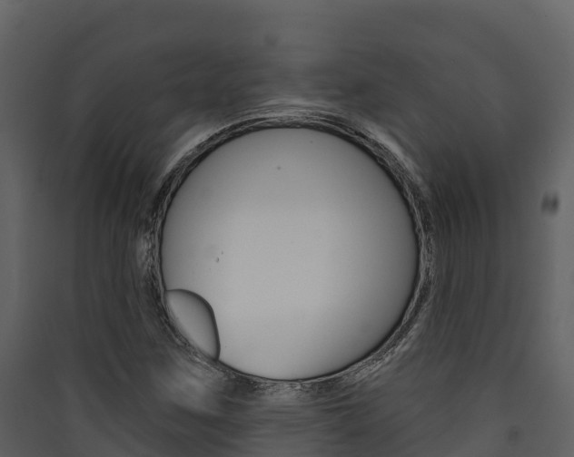 X0000090421259200707130939