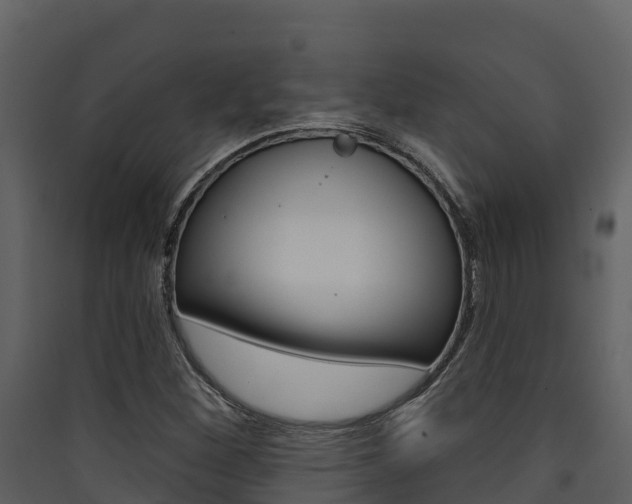 X0000090421260200707130939