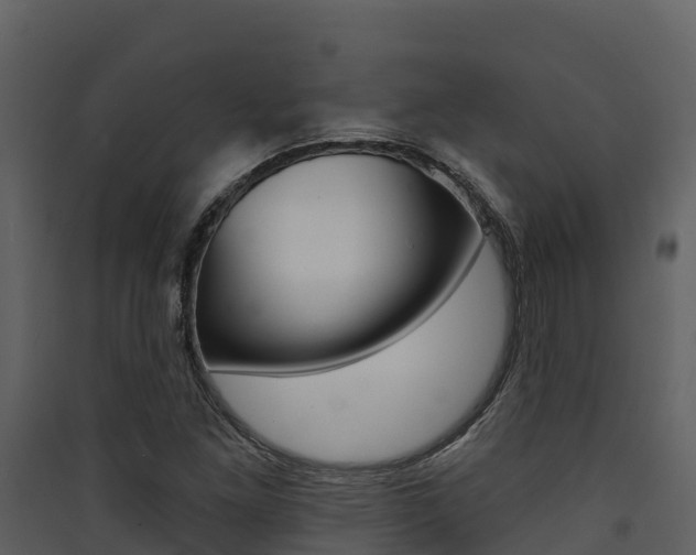 X0000090421261200707130939
