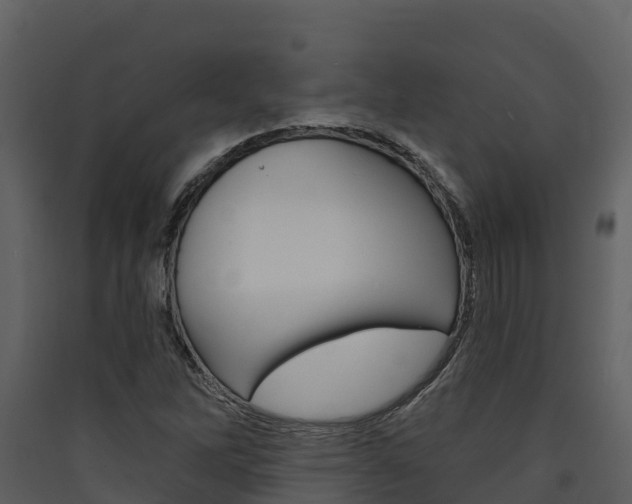 X0000090421262200707130939