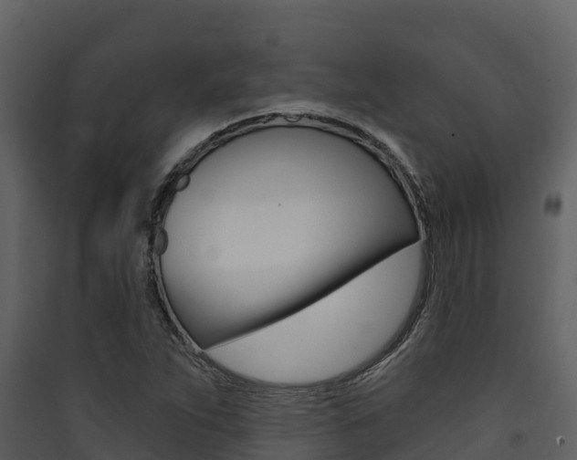 X0000090421263200707130939