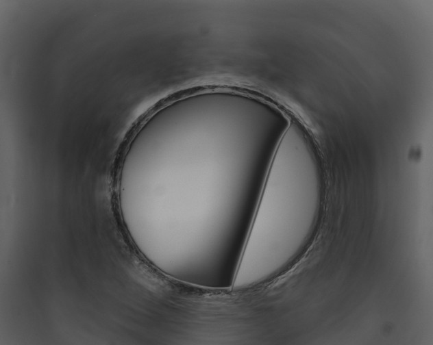 X0000090421264200707130939