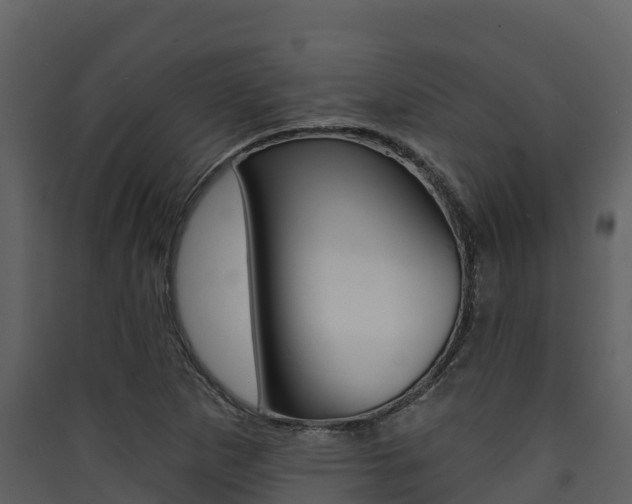 X0000090421265200707130939