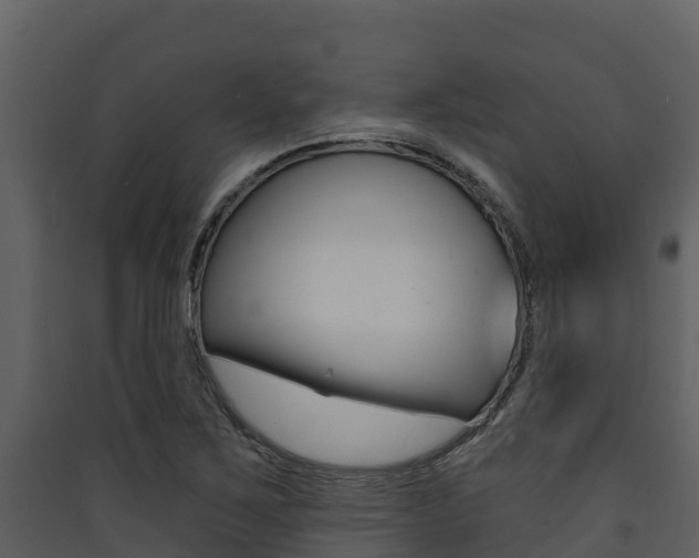 X0000090421267200707130939