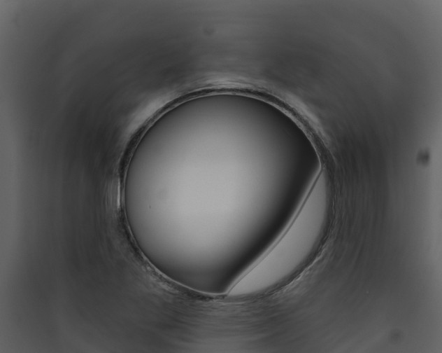 X0000090421269200707130939