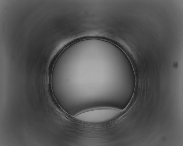 X0000090421270200707130939