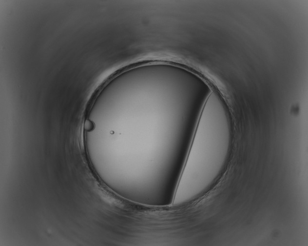 X0000090421272200707130939