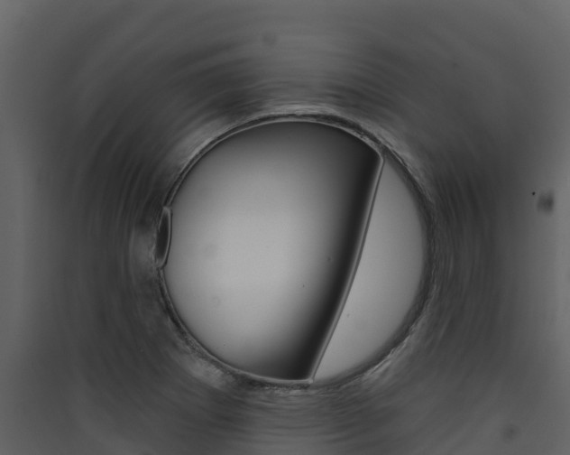 X0000090421273200707130939