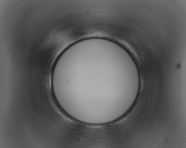 X0000090421274200707130939