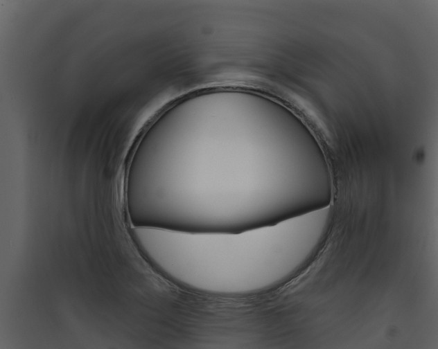 X0000090421275200707130939