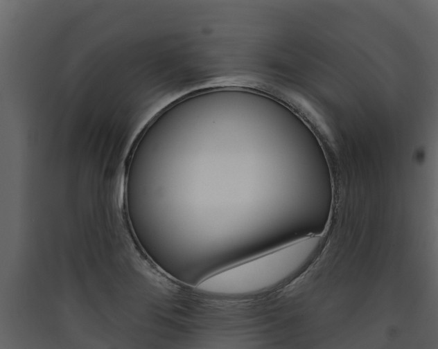 X0000090421276200707130939