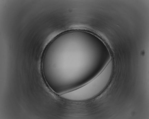 X0000090421277200707130939