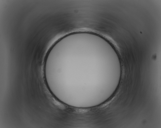 X0000090421278200707130939