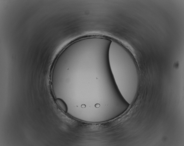 X0000090421279200707130939