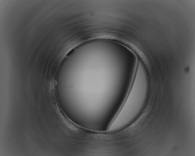 X0000090421281200707130939