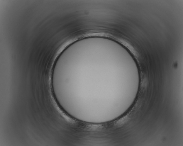 X0000090421282200707130939