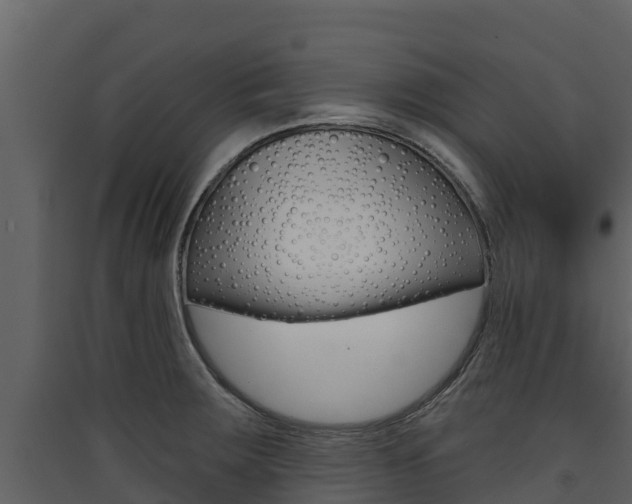 X0000090421283200707130939