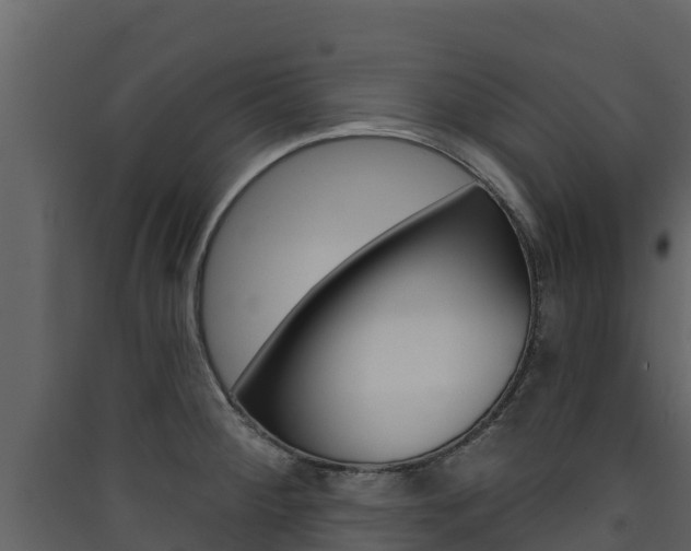 X0000090421284200707130939